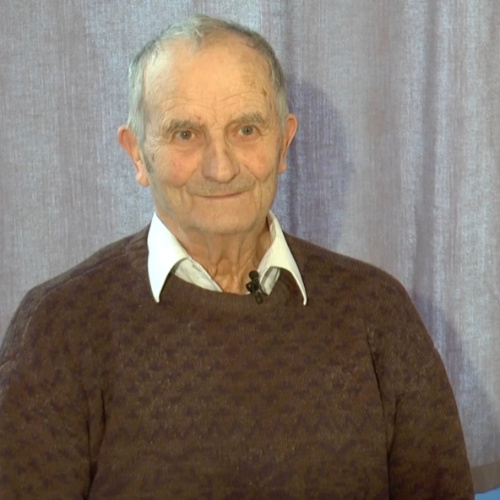Alfred Fliegerbauer